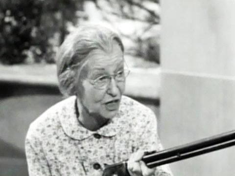 Granny with her gun, Beverly Hillbillies