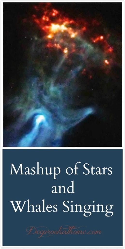 Mashup of Stars and Whales Singing God's Praises. A Pulsar's Hand