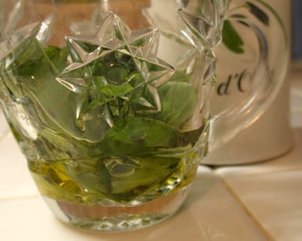 Root Basil Starts From Stem Cuttings Right In Your Window. olive oil infusion with basil