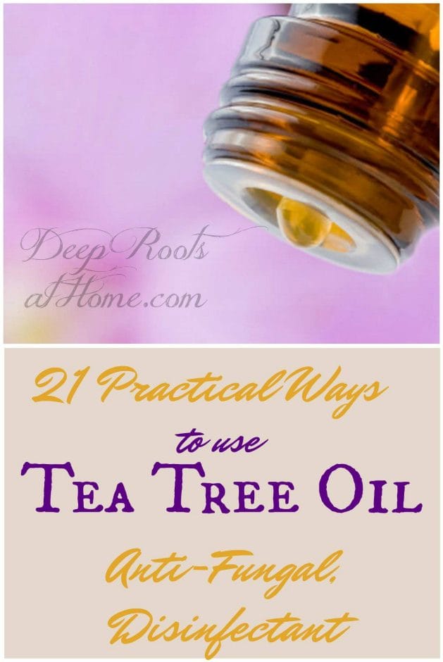 Tea Tree Oil: 21 Practical Ways To Use This Anti-Fungal Disinfectant. An essential oil bottle