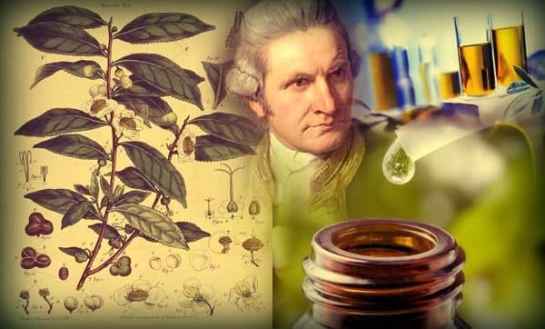 Tea Tree Oil: 21 Practical Ways To Use This Anti-Fungal Disinfectant. Captain James Cook, Australia