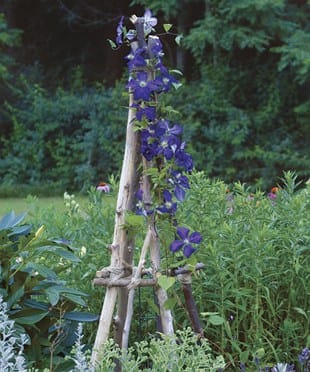 10 Garden Elements With Big Impact. tripod with vines