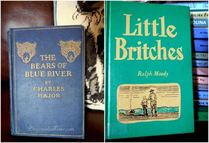 The Bears of Blue River by Charles Major