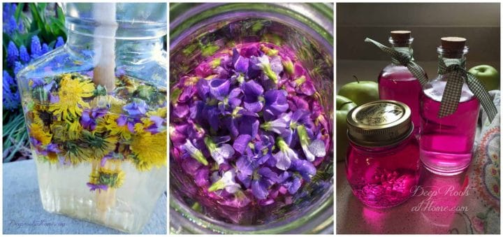 dandelion violet lemonade and violet vinegar
