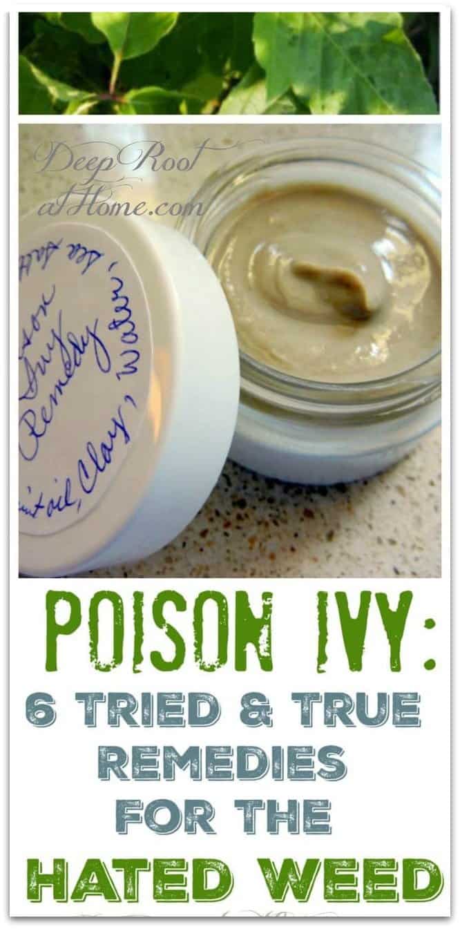 Poison Ivy: 6 Tried & True Remedies For The Hated Weed. poison ivy leaves and my clay-based essential oil remedy