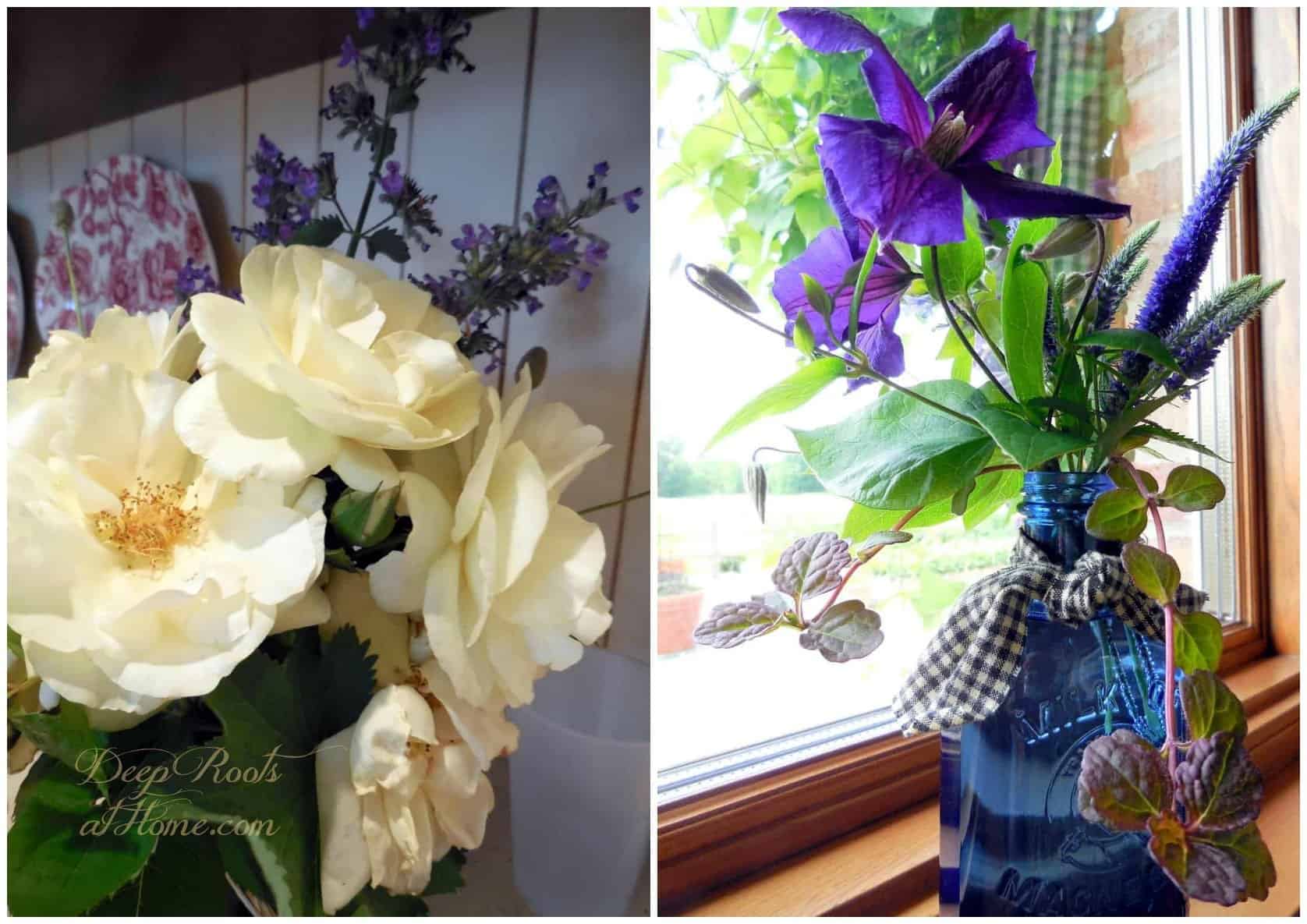 White David Austin roses and Jackmanni clematis