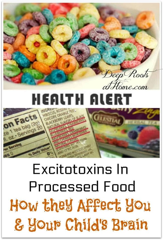 Excitotoxins in Processed Food: How they Affect You & Your Child's Brain. health alert, hidden ingredients