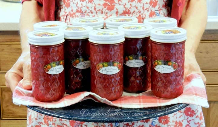 Refrigerator Jam Using Chia: Pectin-Free: White Sugar-Free. 10 pint canning jars of raspberry chia seed jam.