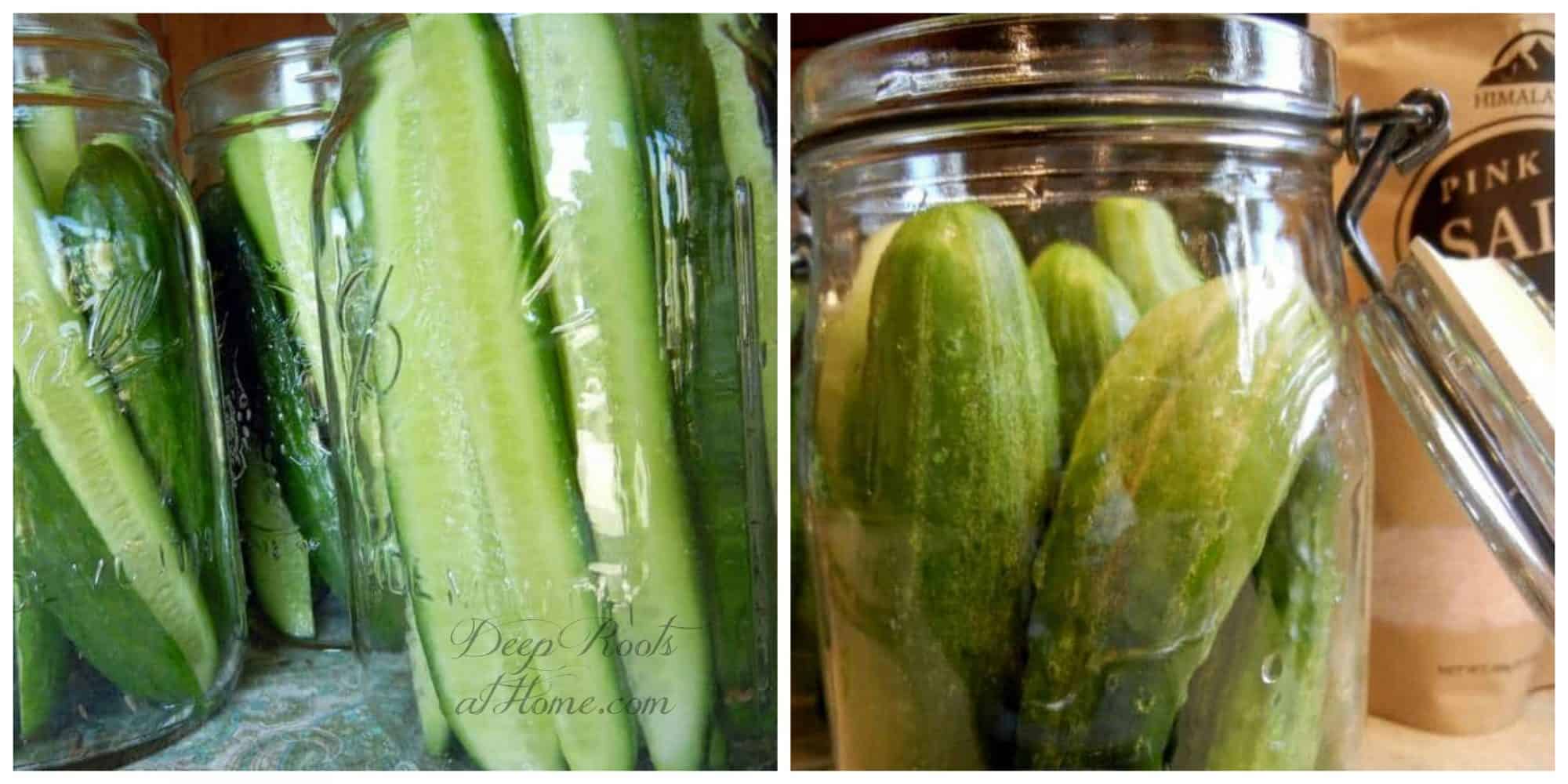 Lacto-Fermented Pickles Like I Had As A Girl, No Canning. slicing and stuffing pickles into jars.