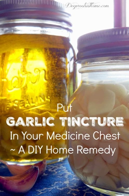 Put Garlic Tincture In Your Medicine Chest~ A DIY Home Remedy. 2 garlic tinctures - one in olive oil and the other in vodka.