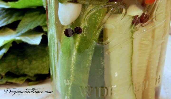 Lacto-Fermented Pickles Like I Had As A Girl, No Canning. Cucumber pickles, fermented, in quart jars