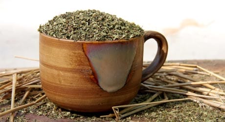 'Better Than Kool-Aid' Recipe: Kid Approved, Happy Mom! 'Better Than Kool-Aid' Recipe: Kid Approved, Happy Mom! stevia leaf.