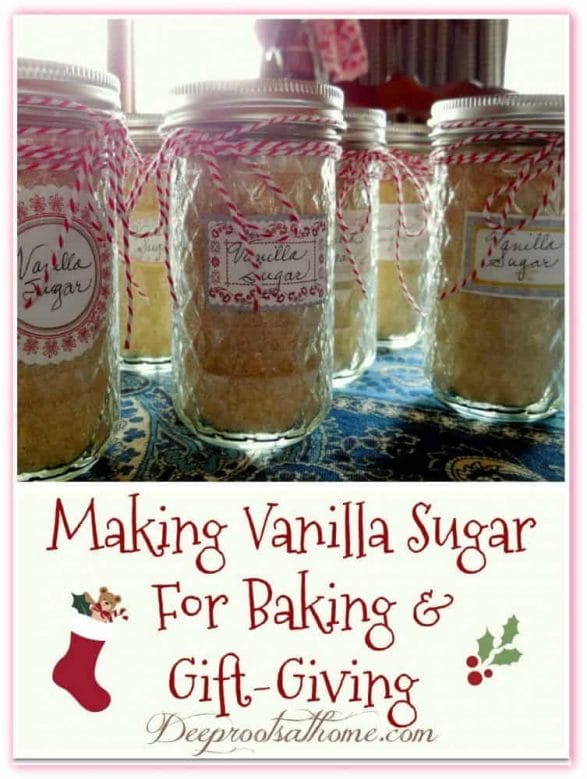 Making Vanilla Sugar For Baking and Holiday Gift-Giving. vanilla sugar