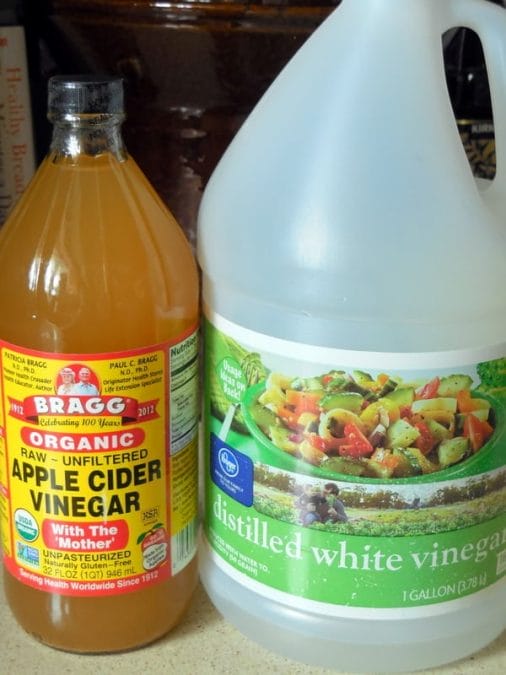 Bragg vinegar, ACV, apple cider vinegar, white distilled vinegar