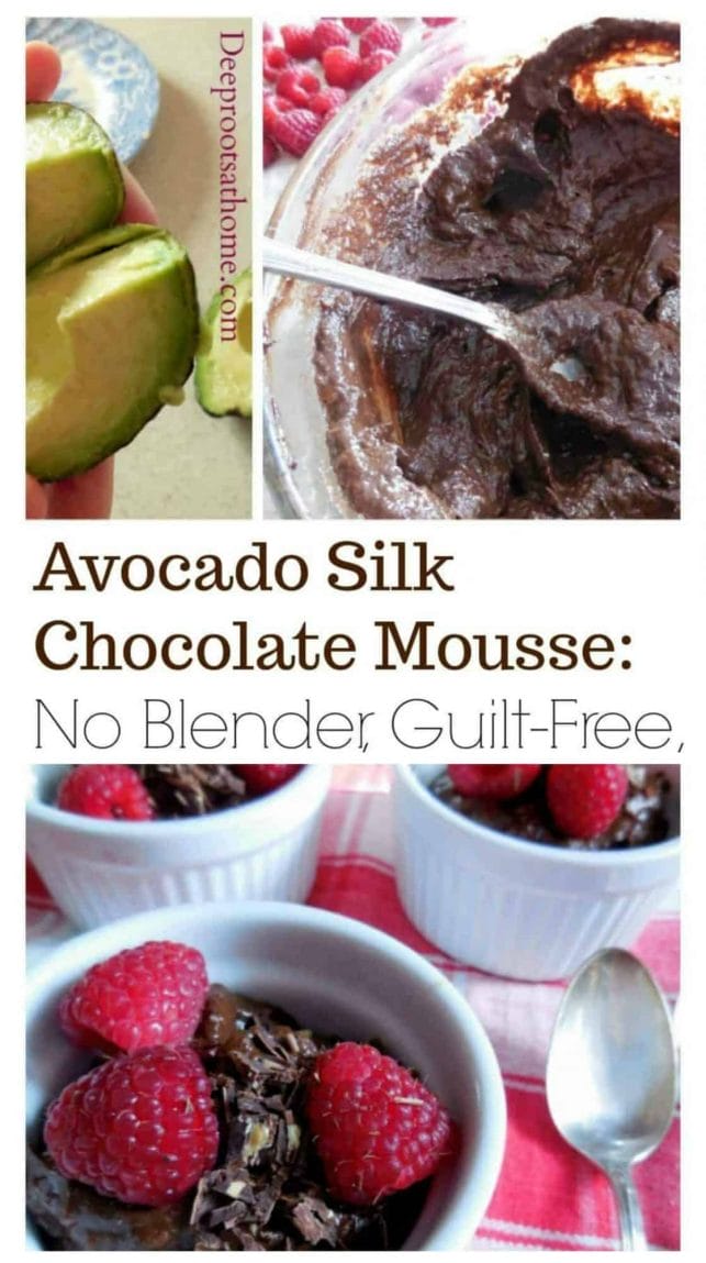 Avocado Silk Chocolate Mousse: A No Blender, Guilt-Free Dessert. chocolate pudding