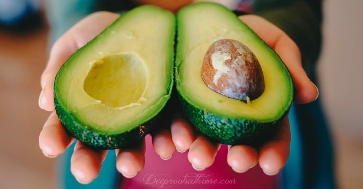 Avocados: Fabulous Ketogenic Recipes & 19 Health Benefits. Hands holding the avocado, halved, 