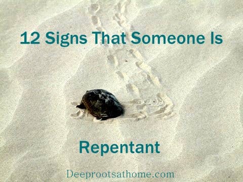 12 Certain Signs That Someone Has A Genuinely Repentant Heart. a turtle on the sand, making a U-turn