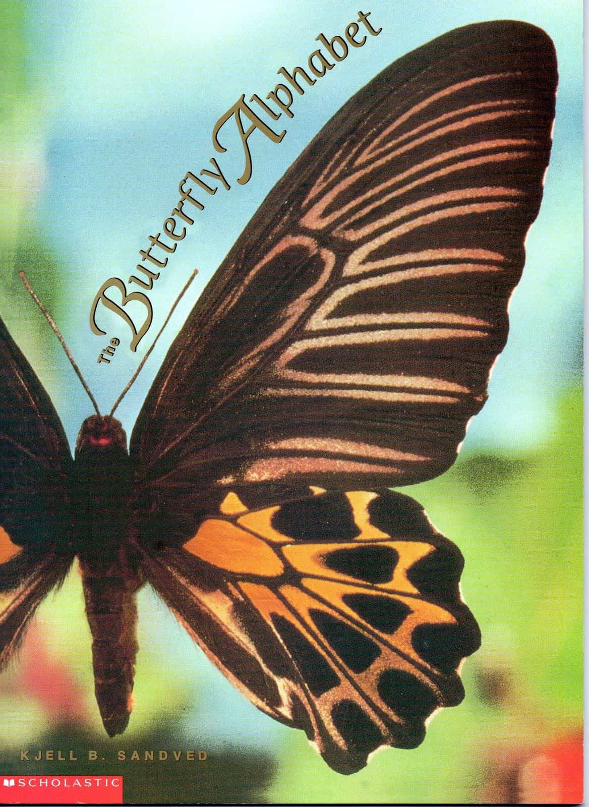 book The Butterfly Alphabet