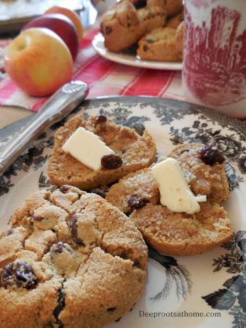 Almond Flour Raisin Scone Recipe: Crispy Outside, Moist Inside. A plate of warm scones, a butter knife and melted butter, warm from the oven.
