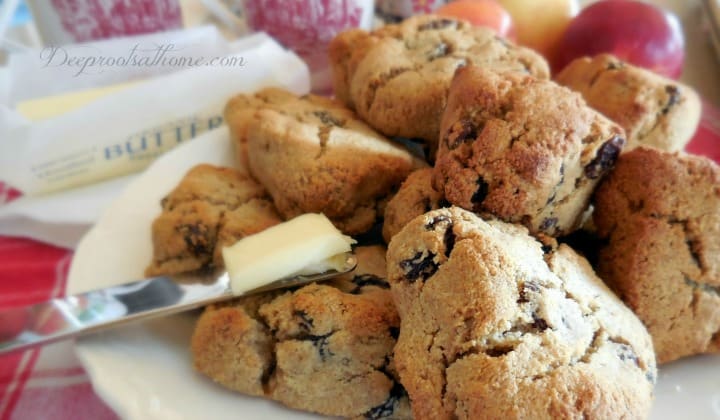 Crispy & Moist Almond Flour (Gluten-Free) Scone Recipe. A plate of warm muffins, butter knife and melted butter 