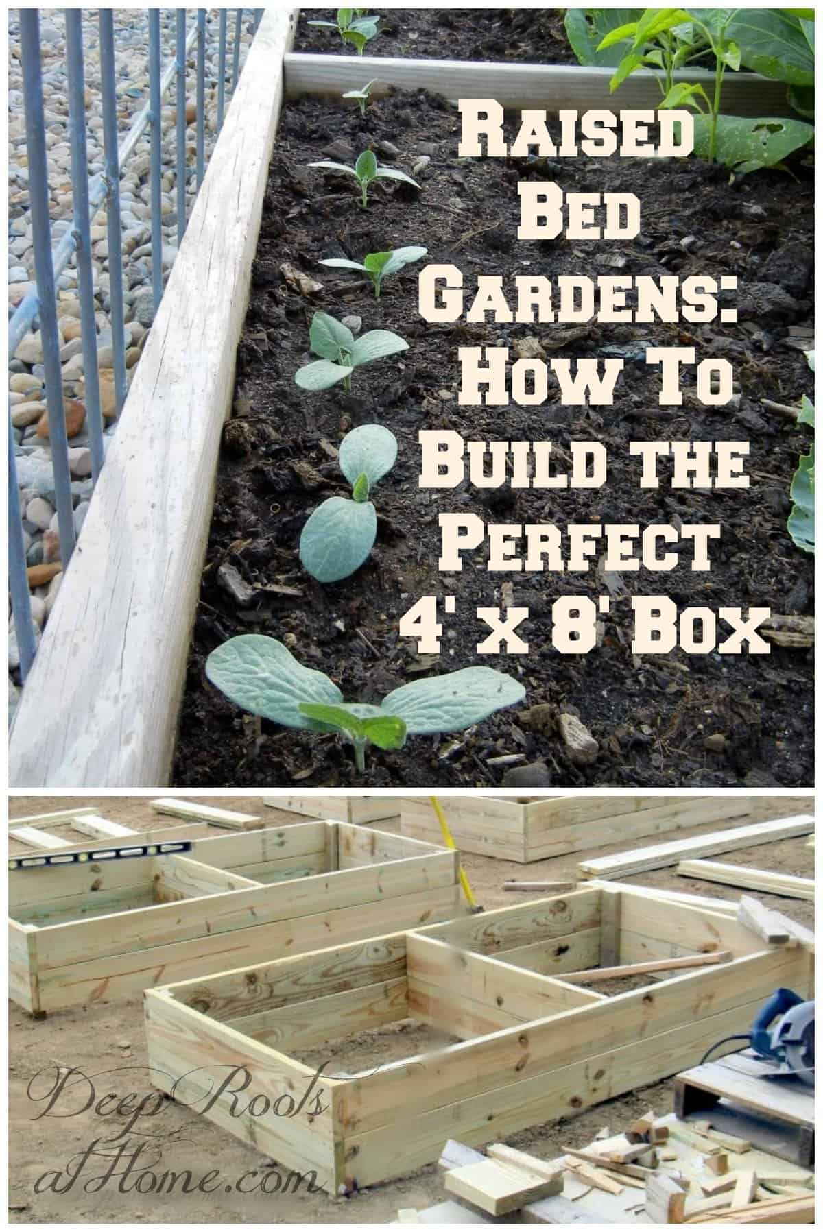 Raised Bed Gardens: How To Build the Perfect 4\' x 8\' Box