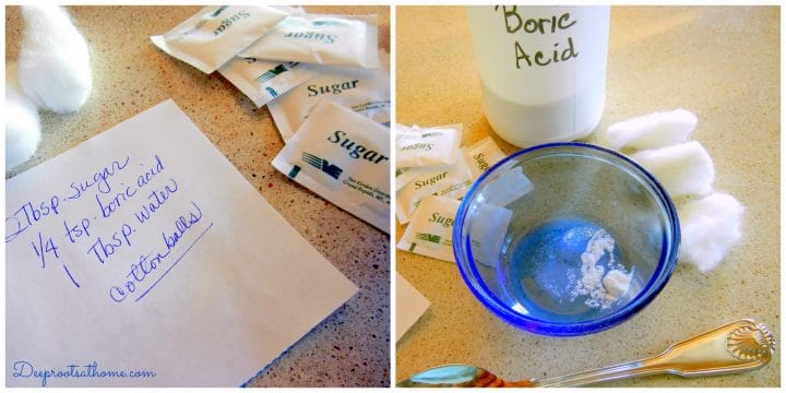 ingredients are 2 sugar packets, boric acid and water on cotton balls