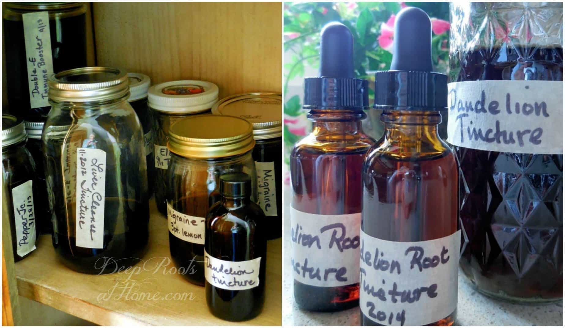 Herbal remedy, Taraxacum officinale tincture