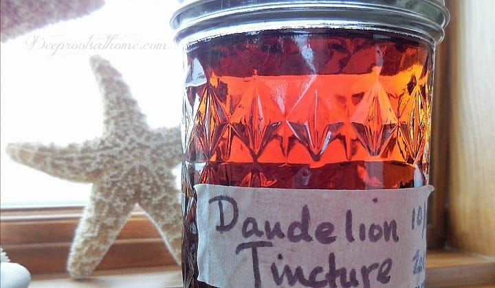 dandelion tincture