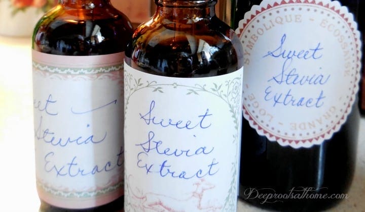 Make Your Own {Non-Processed} Stevia Extract {& Why I Do It}. bottles containing stevia liquid
