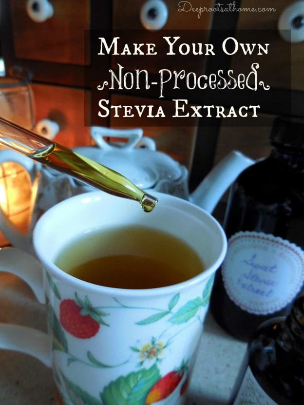 Make Your Own {Non-Processed} Stevia Extract {& Why I Do It}. dropper-ful of liquid stevia extract