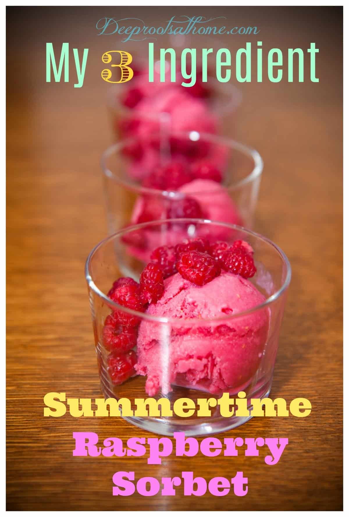 Three Ingredient Summertime Raspberry Sorbet. Prep time is 5 minutes plus freezing. #food #recipes #healthy #natural #easy #delicious #amazing #wellness #sweets #health #summerstyle #desserts #frozen #snacks #party #homemade #dessertfoodrecipes #ideas #tips #icecream #fruit #nutrition #benefits #vitamins #raspberry #sorbet #partyfood #garden #gardening #plants #sweettooth #breakfast #lunch #dinner #cool Three Ingredient Summertime Raspberry Sorbet. chilled raspberry dessert in bowls!