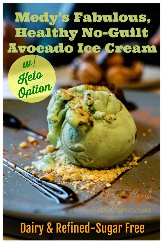 Medy's Fabulous & Healthy No-Guilt Avocado Ice Cream, paleo avocado ice cream