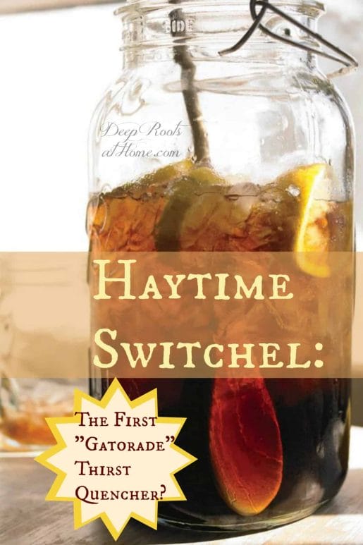 Haytime Switchel: The First 'Gatorade' Thirst Quencher? A gallon canning jar filled with iced switchel, a regional healthy drink made for hay time in the country.