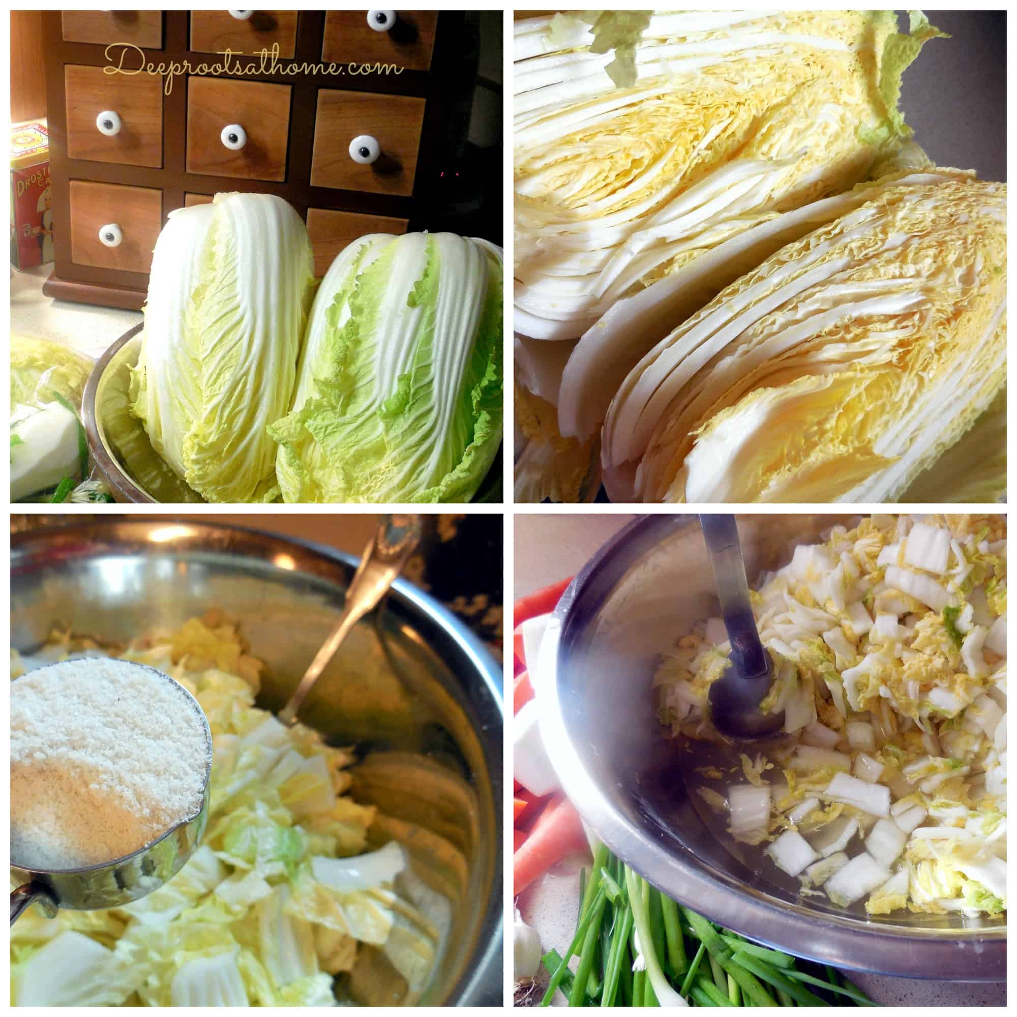 5 Elements To Making Authentic Basic Fermented Kimchi. food preservation, lacto-fermentation