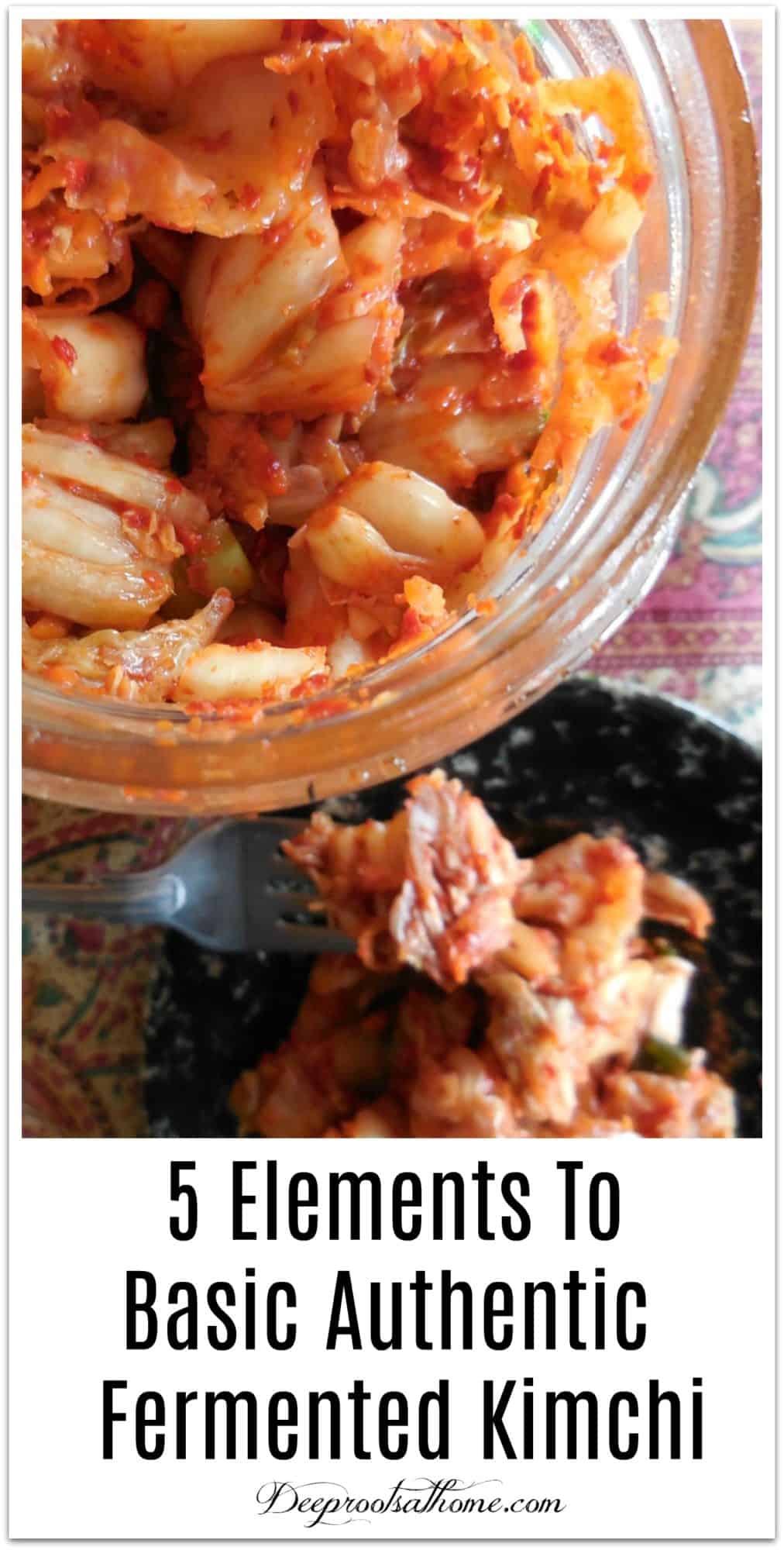 5 Elements To Making Authentic Basic Fermented Kimchi. basic fermentation