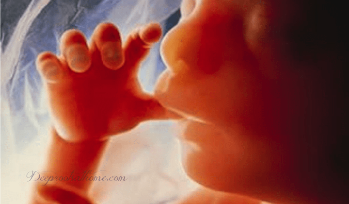 What Babies Hear, See, Taste, Smell & Dream In the Womb. What Babies Hear, See, Taste, Smell & Dream In the Womb. An unborn baby sucking its thumb.