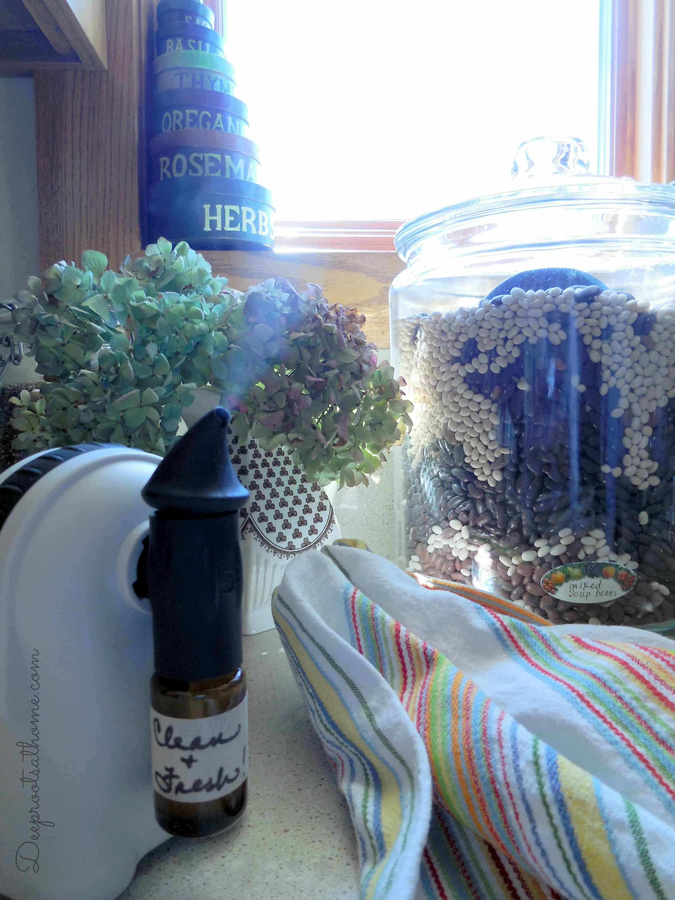 My Version Of Purification® Essential Oil Blend, aromatherapy, DIY, colds and flu season, sickroom, deodorant, healthy living, natural medicine chest, tea tree, lemon, lemongrass, lavender, rosemary, TheraPro premium diffuser, disinfectant spray, homemade cleaners, Thieve's, 