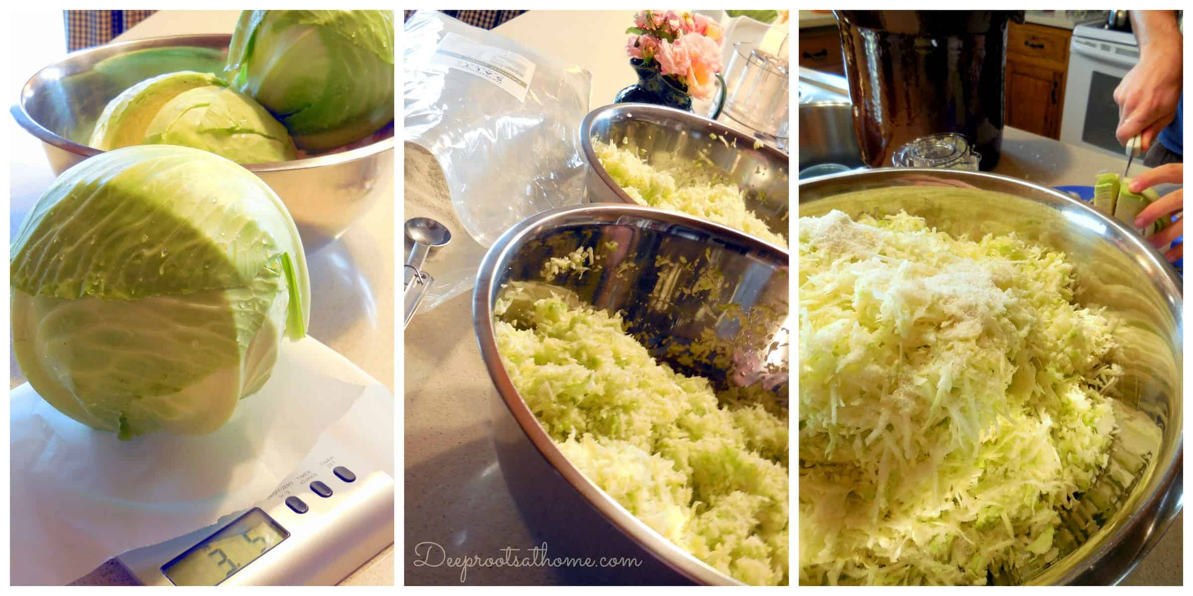 Step-by-Step Process Of Making Sauerkraut In a Crock, DIY, homemade, homemaking, keeper at home, choucroute, Eastern Europe, barrels, kitchen/postal scale, Sandor Katz, quote, books, French Grey salt, Himalayan pink salt, sea salt, minerals, shredded cabbage, chopped cabbage, independence, open crock, Boss Pickler, Fido jar, canning jars, mason jars, Ball jars, salt ratio, bon appetit, Alsace Lorraine, France, cellar, food storage, fermentation, big batches, crunchy, sour, kahm yeast, Holland, caraway seeds, lidded crock, Harsch crock, Gartopf, Germany, grandmothers, probiotic, Reuben sandwiches, flavor, crunchy, beneficial bacteria, bad bacteria, lactobacillus, lactic acid, Swabian village, brine, salt solution, lacto-fermentation, sustainable living, living off the grid, the old ways, thermometer, heated garage, food storage, pantry, kraut, collage