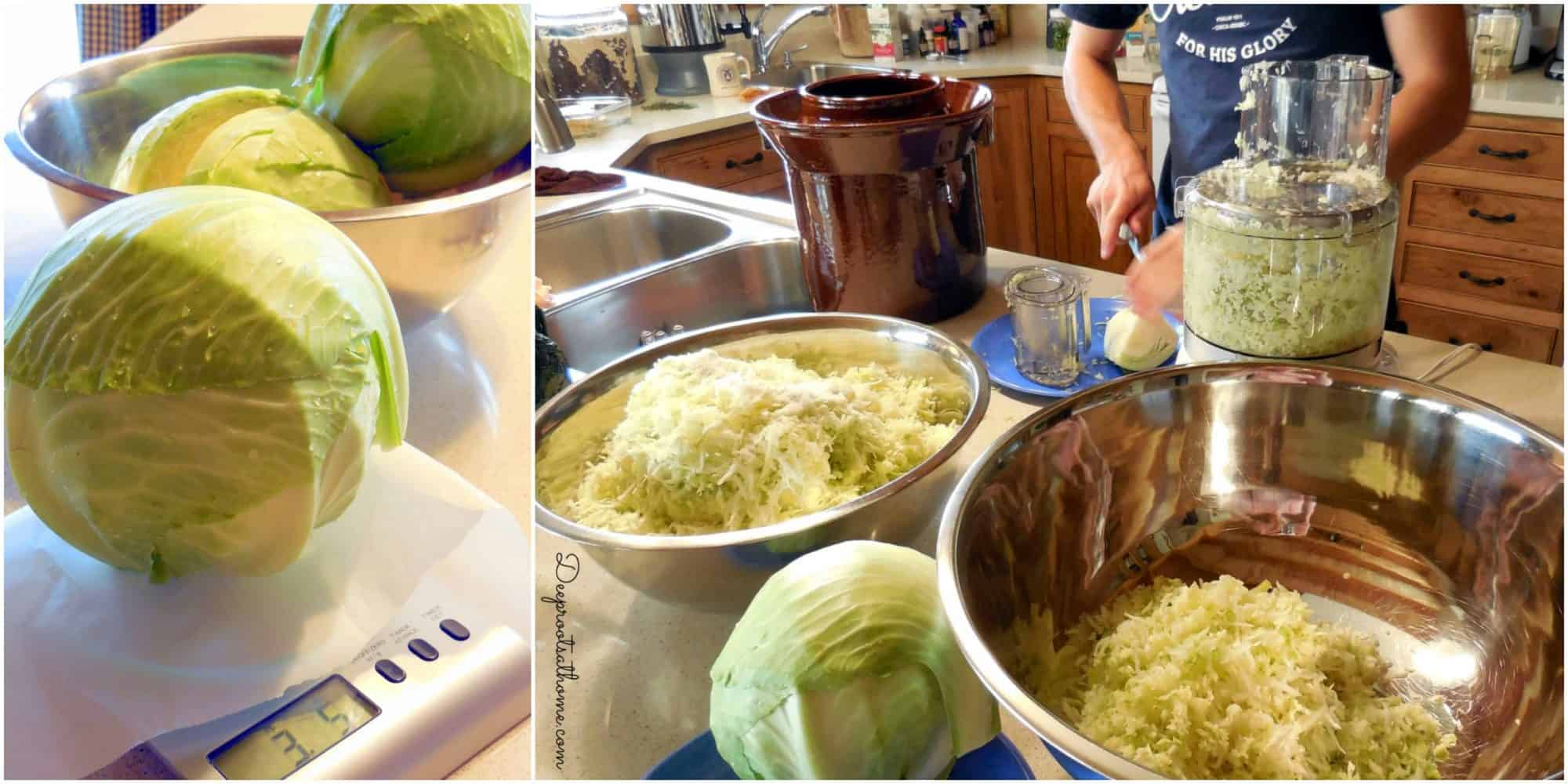 shredded cabbage