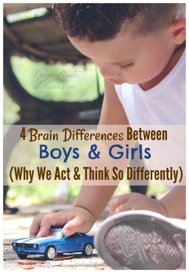 4 Brain Differences Between Boys & Girls: Why They Act/ Think Differently. A young boy sitting on the ground playing with a blue Hot Wheels car.