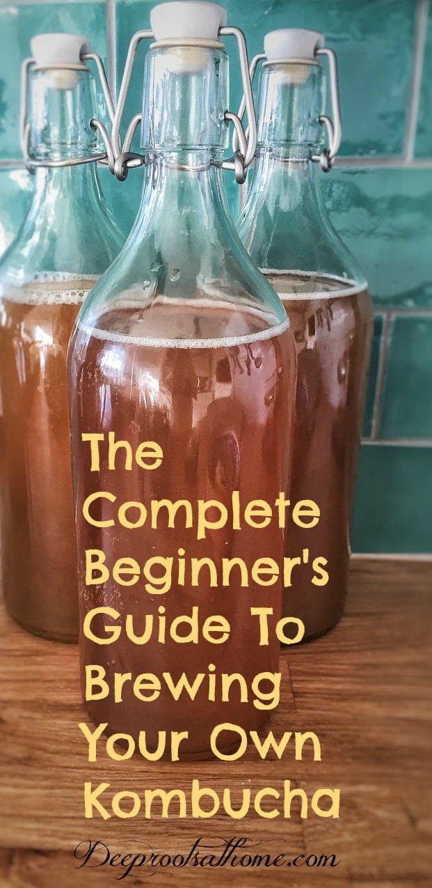 A Complete Beginner's Guide To Brewing Your Own Kombucha. Kombucha bottled up and ready to store in the refrigerator.