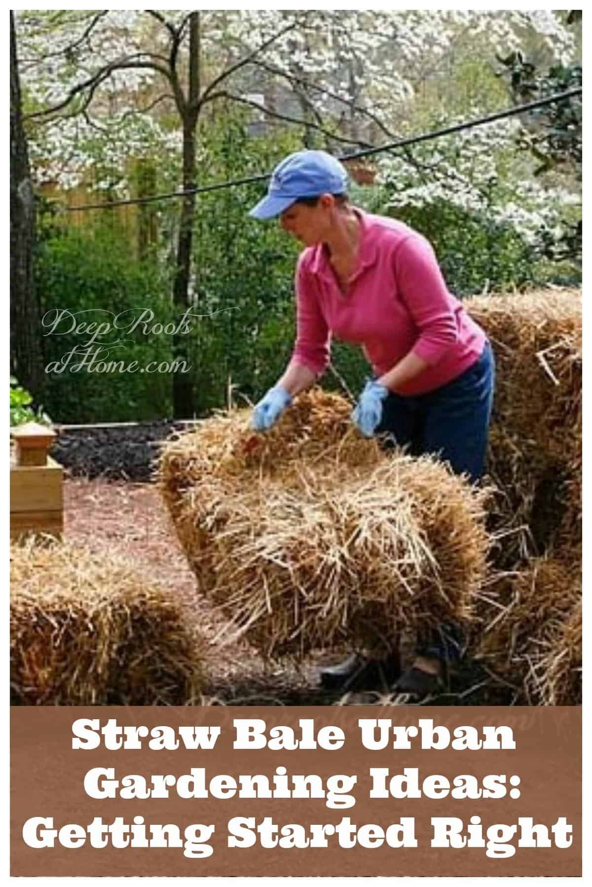 Straw Bale Urban Gardening: Ideas and Getting Started Right. small scale straw bale gardening