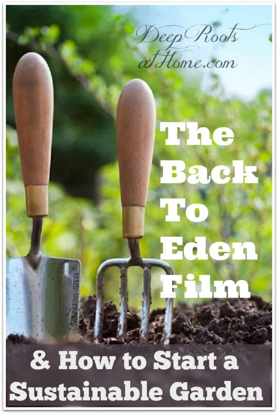 Back To Eden Film & How To Start A Sustainable Garden. You can grow your own food