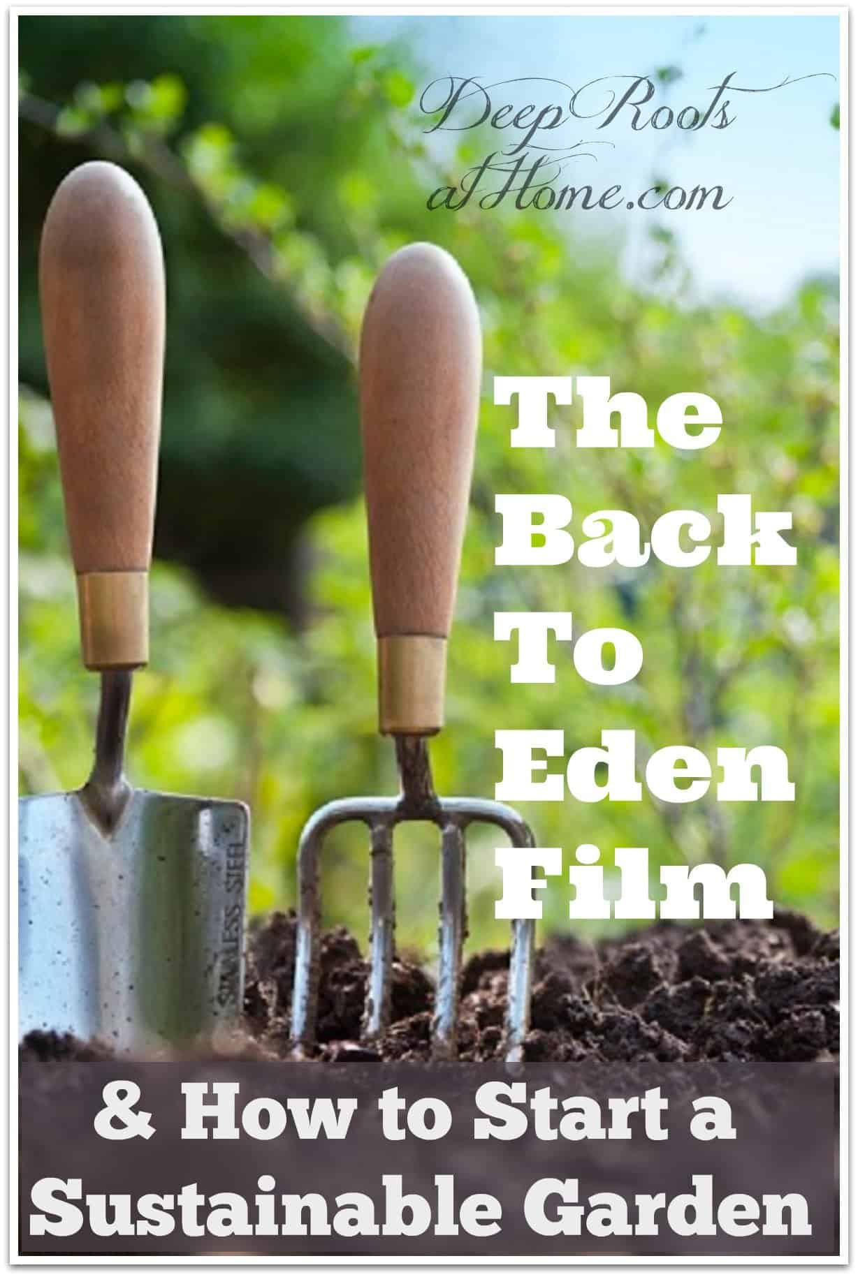 Back To Eden Film & How To Start A Sustainable Garden. You can grow your own food