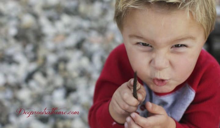 Watch This: How Foods With Additives & Dyes Affect Children's Behavior. A boy with an evil expression of aggression on his face, holding a sharp object