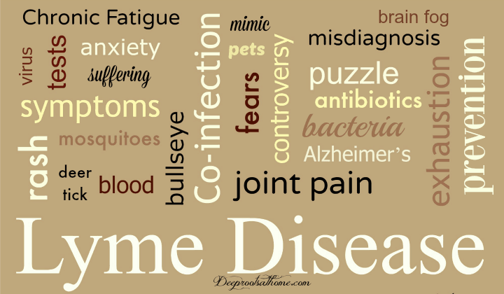 History of Chronic Pain? Check Out the Possibility of Lyme Disease key words