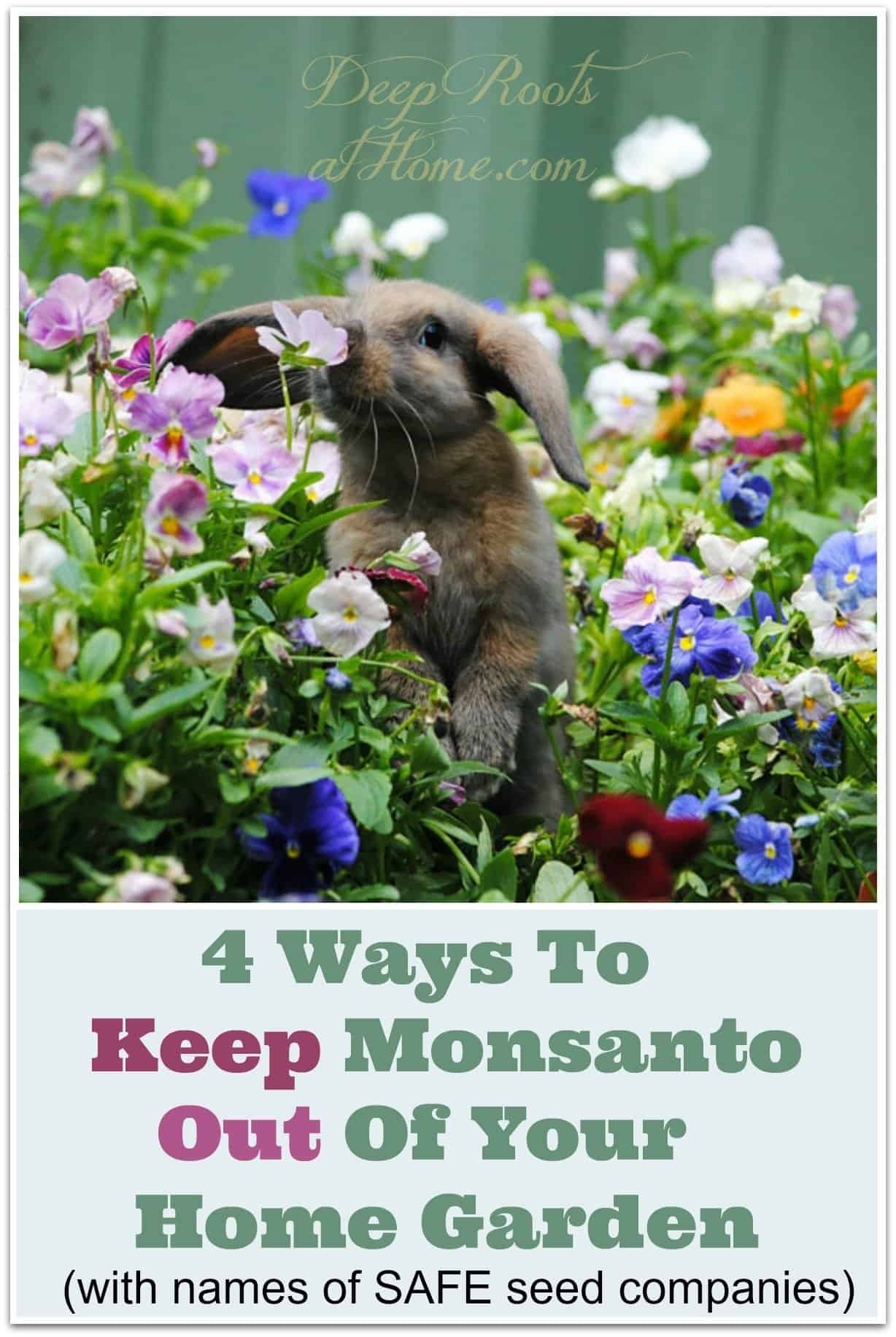 4 Ways To Keep Monsanto Out Of Your Home Garden