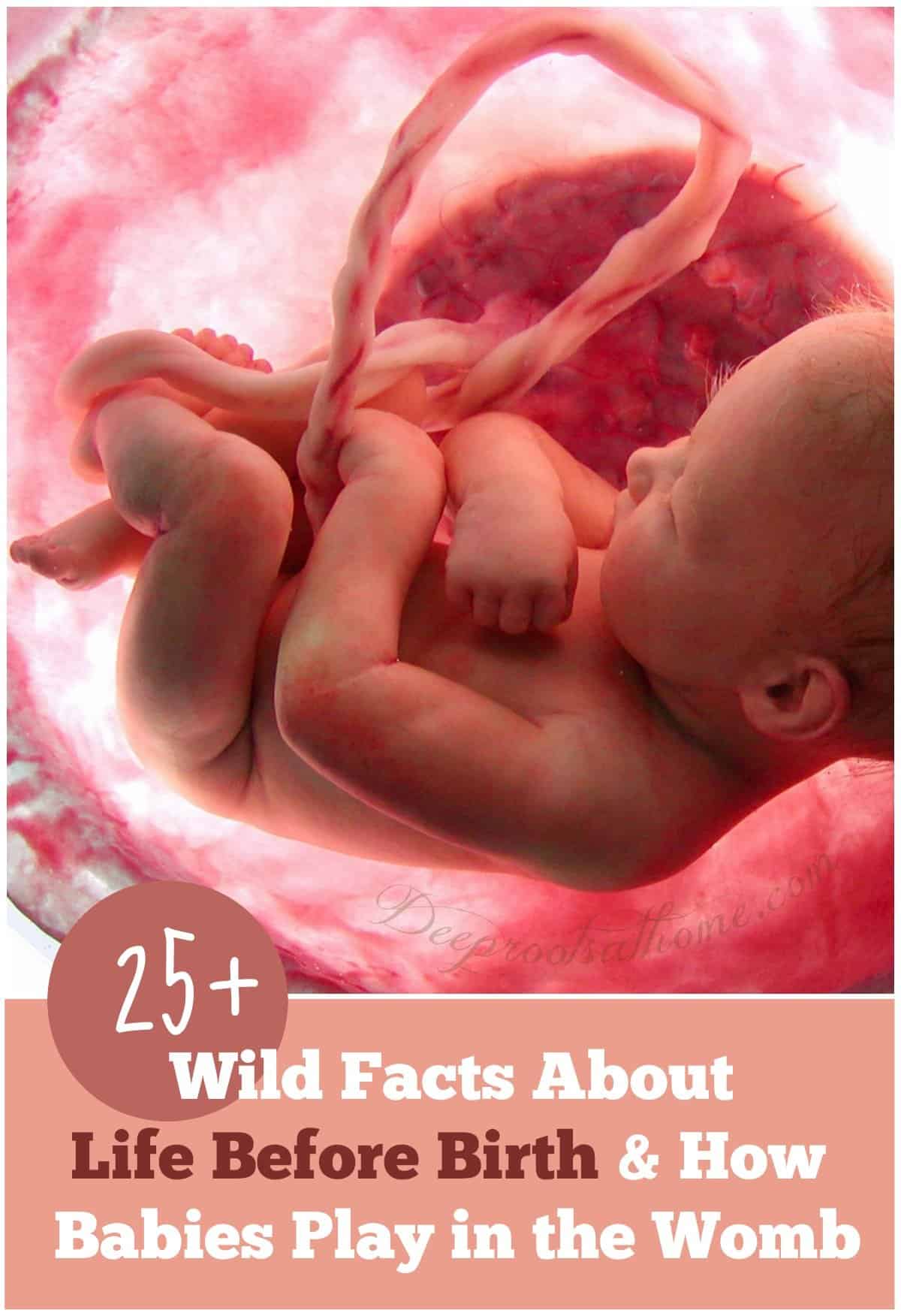 25+ Wild Facts About Life Before Birth & How Babies Play in the Womb. Pinterest image