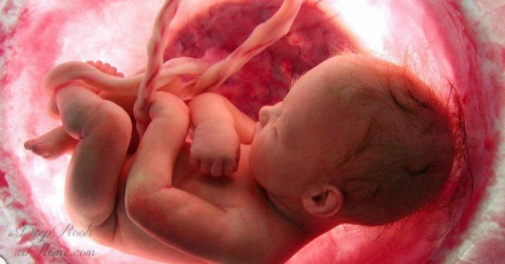 25+ Wild Facts About Life Before Birth & How Babies Play in the Womb. before birth