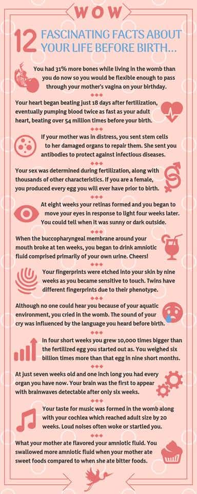 25+ Wild Facts About Life Before Birth & How Babies Play in the Womb. 12 Fascinating Facts infographic